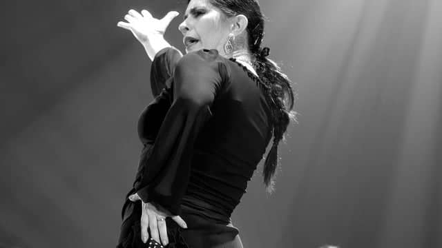 Momentos Flamencos avec Rosanne Dion