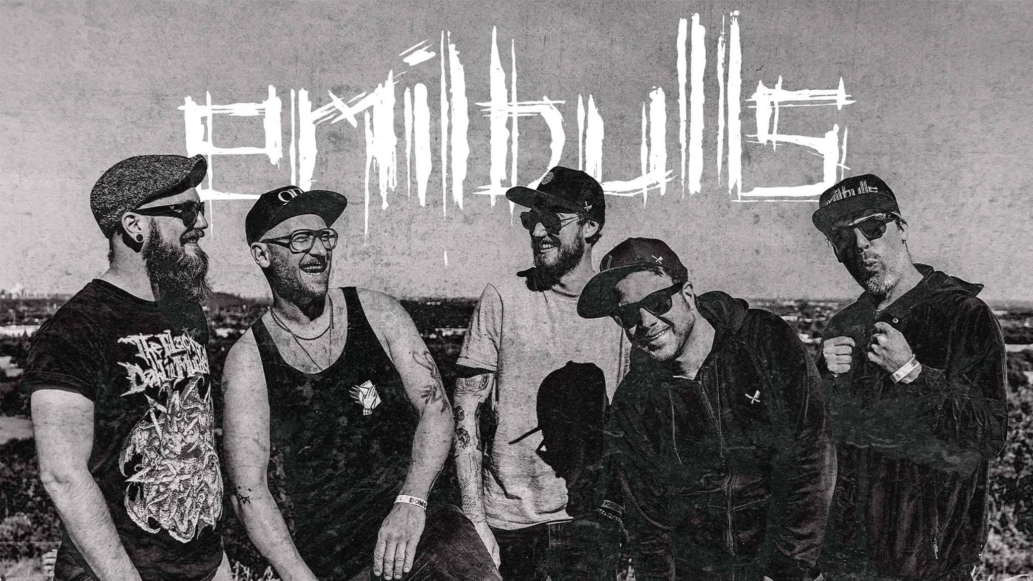 Emil Bulls