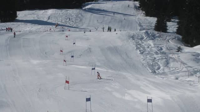 FIS Ski Weltcup