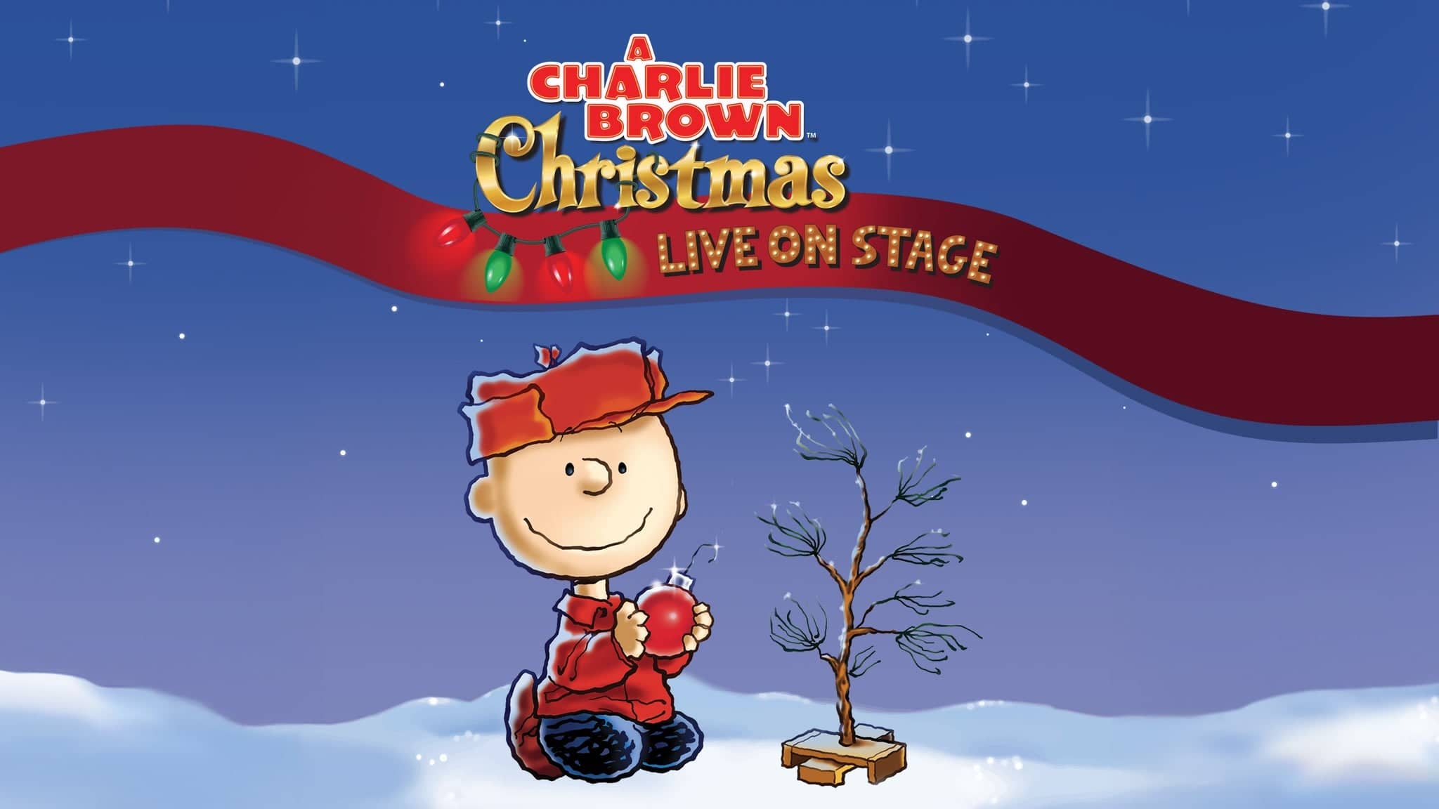 A Charlie Brown Christmas - Live On Stage!